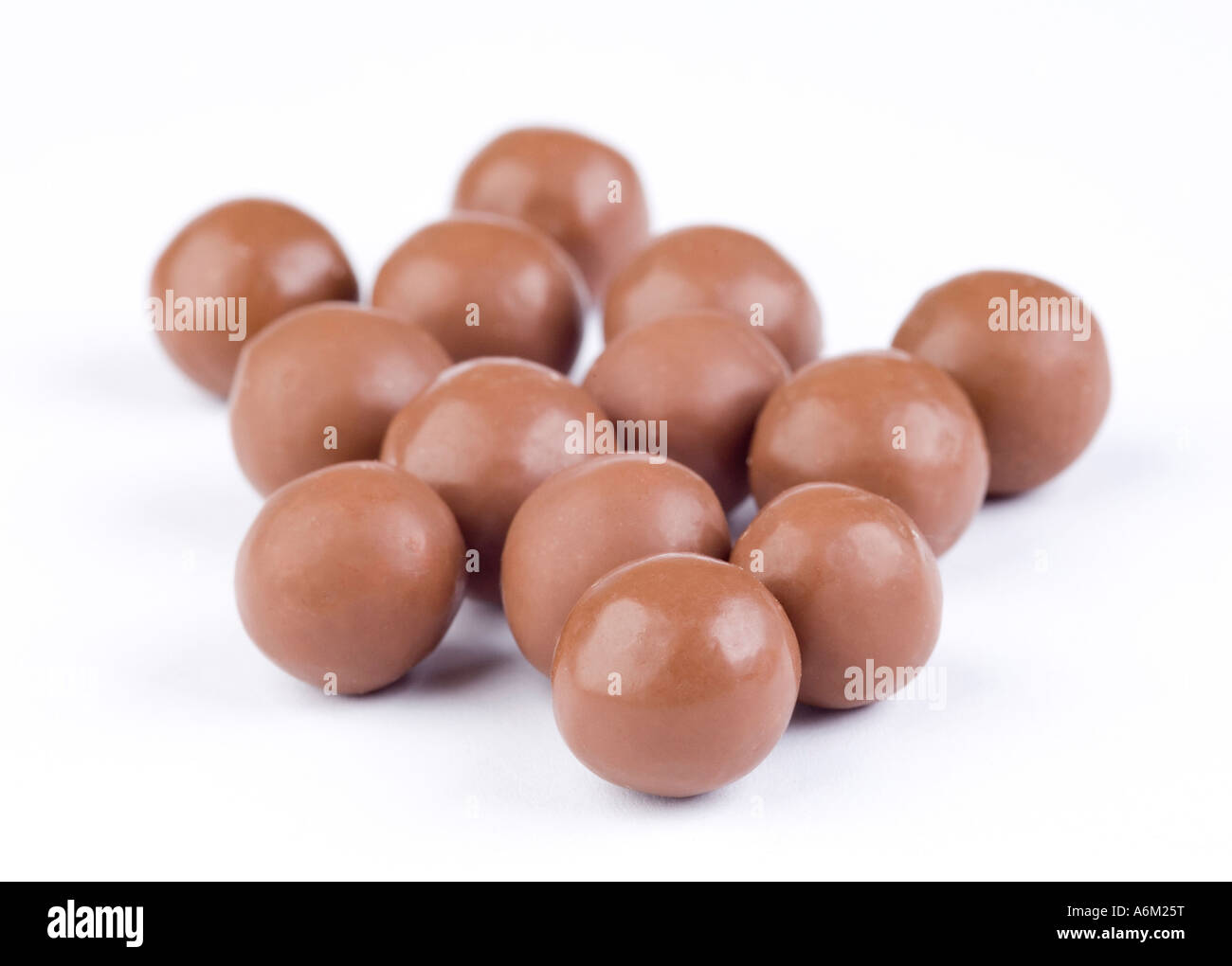 Maltesers Stock Photo