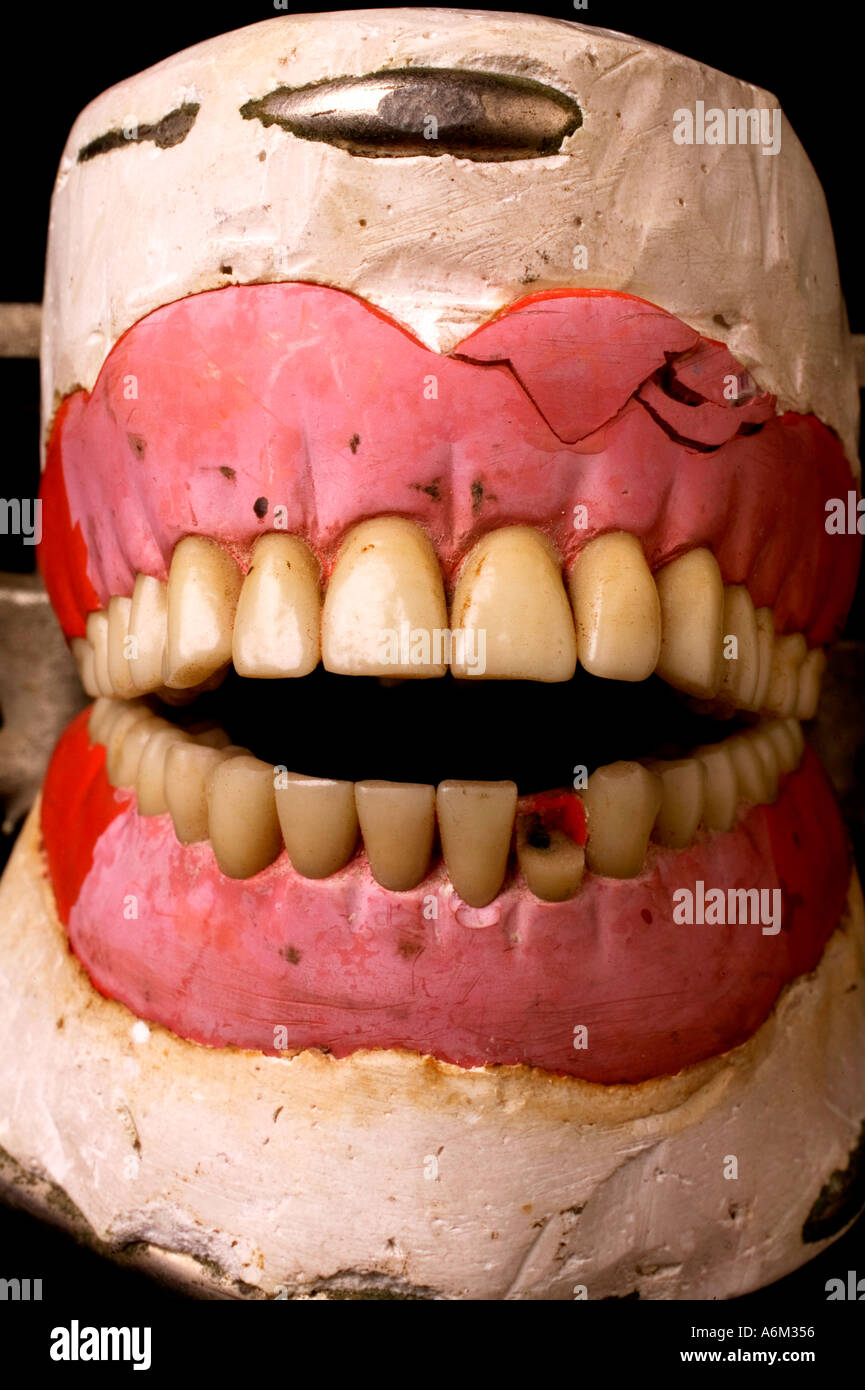 Dental Tooth Teeth Anatomical Anatomy Model Children Dental Model Baby teeth  mold - AliExpress