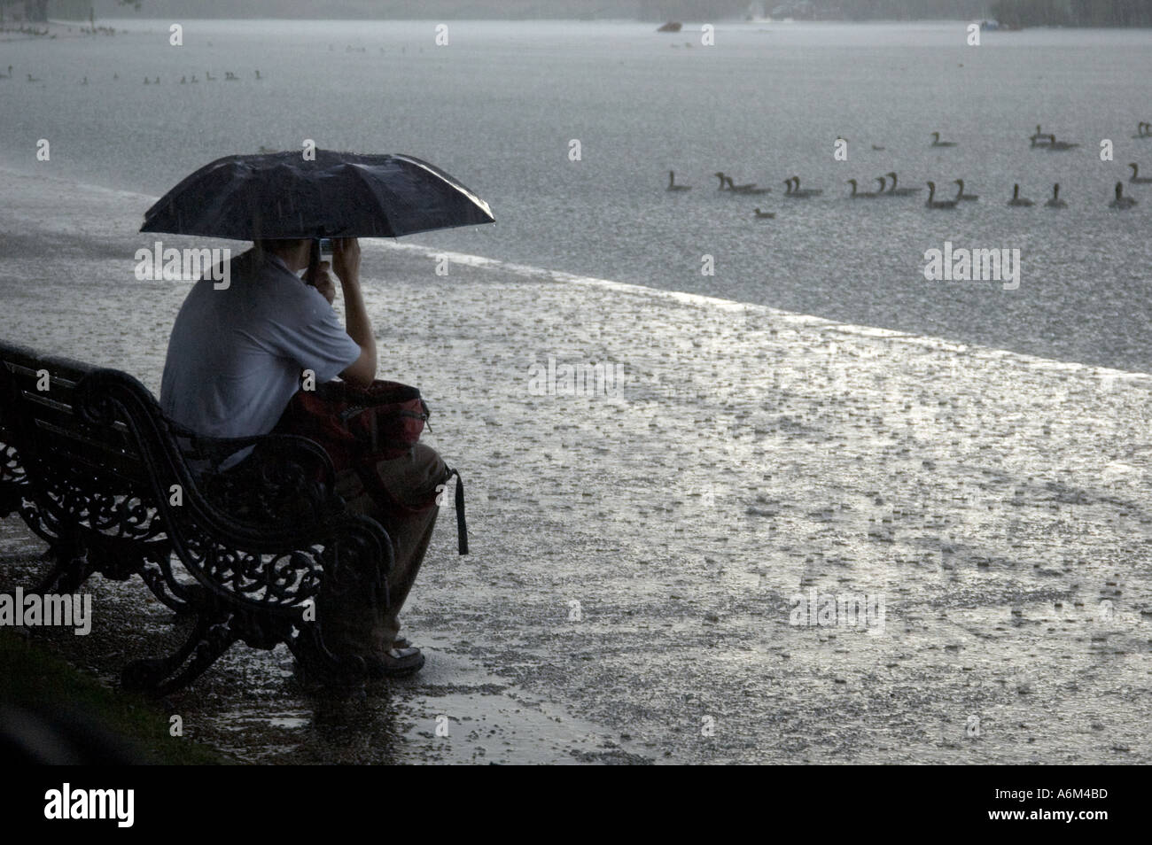 Person sheltering from rainstorm Hyde Park Knightsbridge Central London Stock Photo