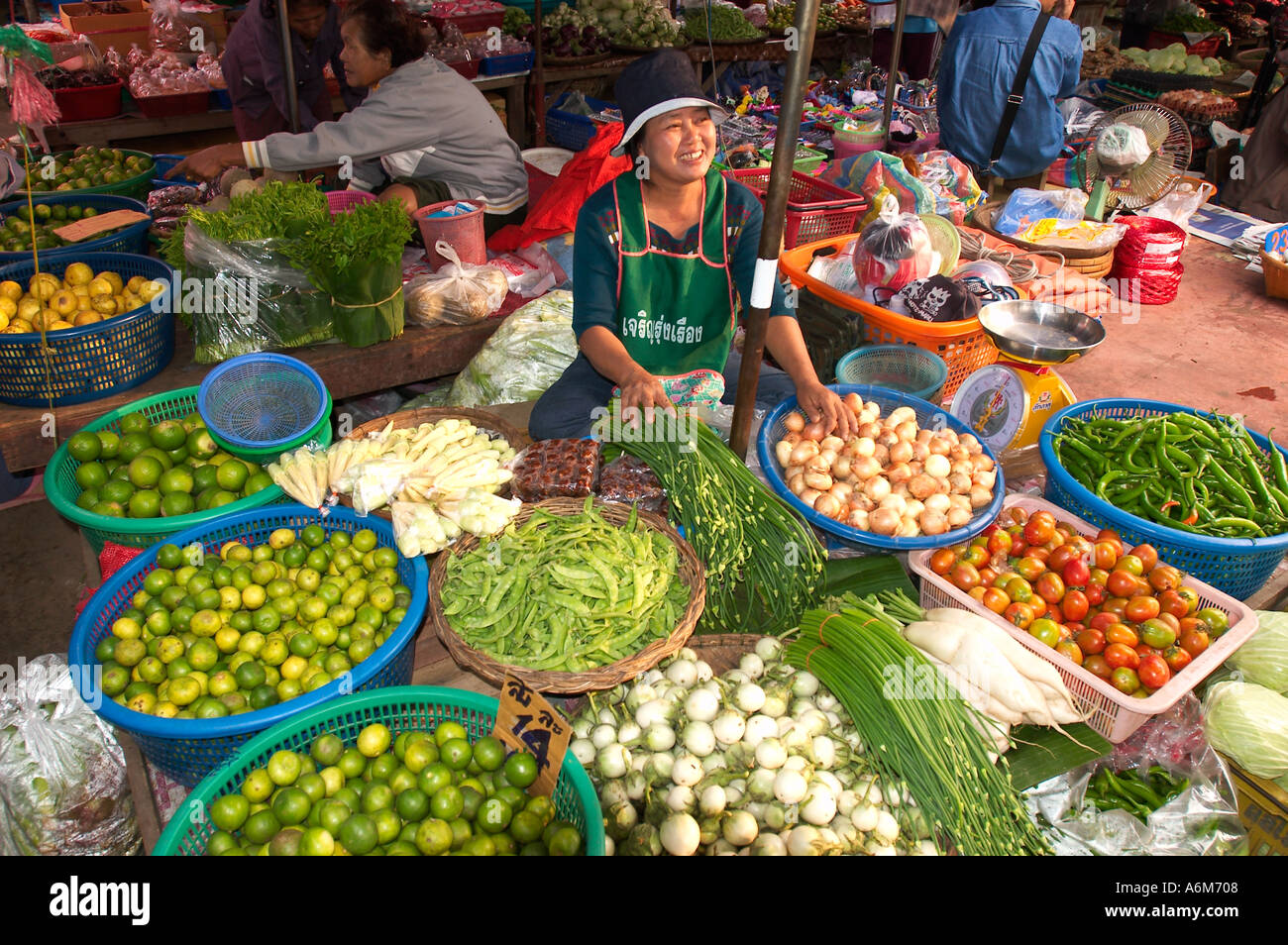 THAILAND CHIANG MAI Woman selling vegetables at outdoor market Stock ...
