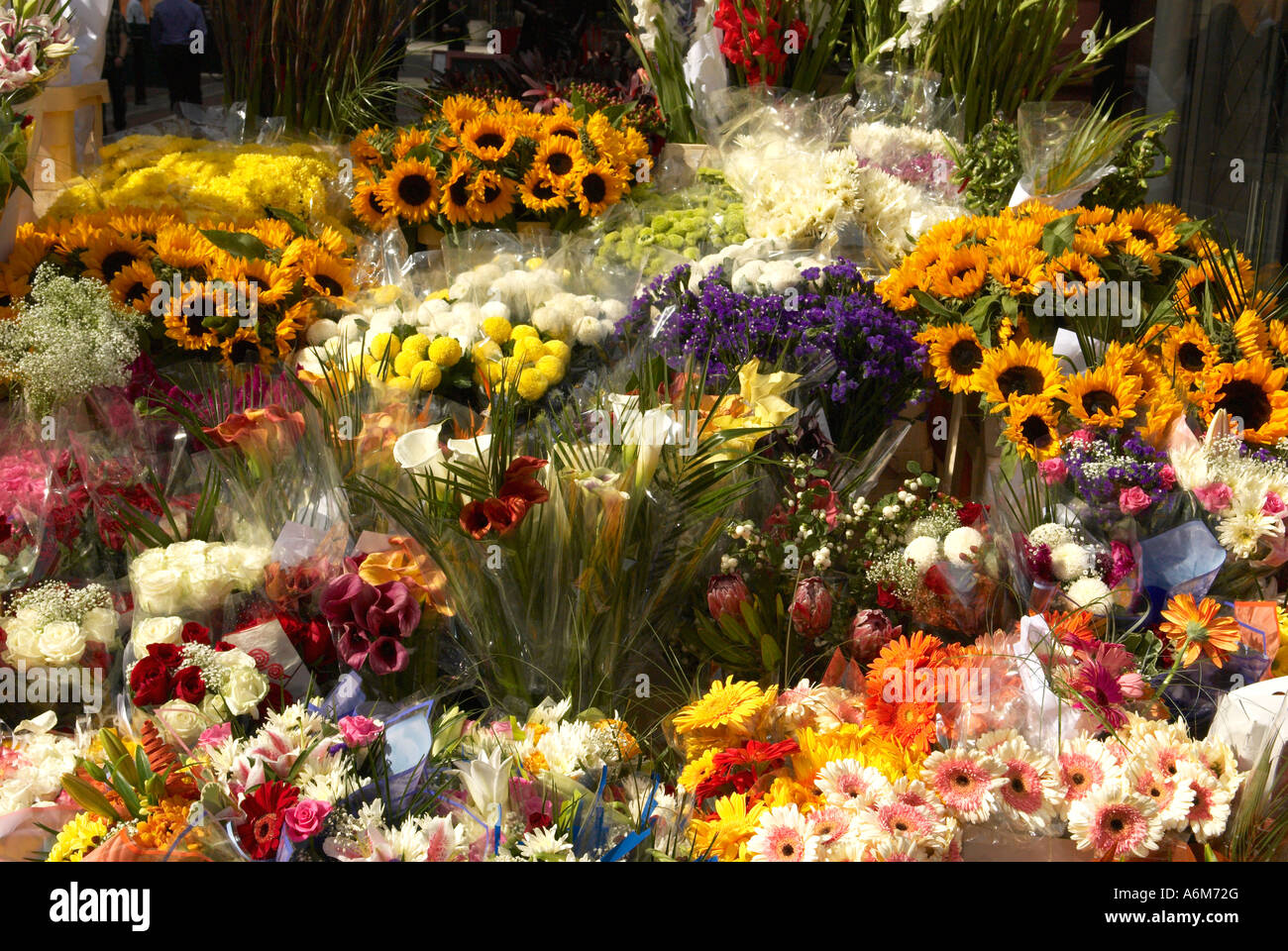 A cart full of flowers for sale on the street in Dublin Ireland Stock
