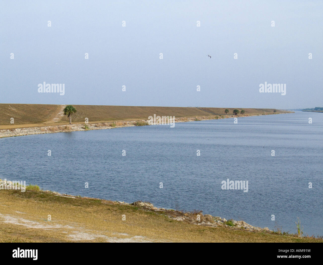 Lake Okeechobee rim canal Herbert Hoover Dike Stock Photo Alamy