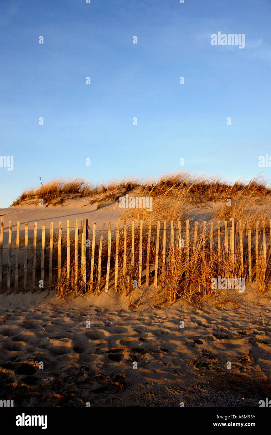 Late Afternoon View of Beach Sand Dunes and Fence Just Before Sunset in Cape Cod Massachusetts USA Copy Space Stock Photo