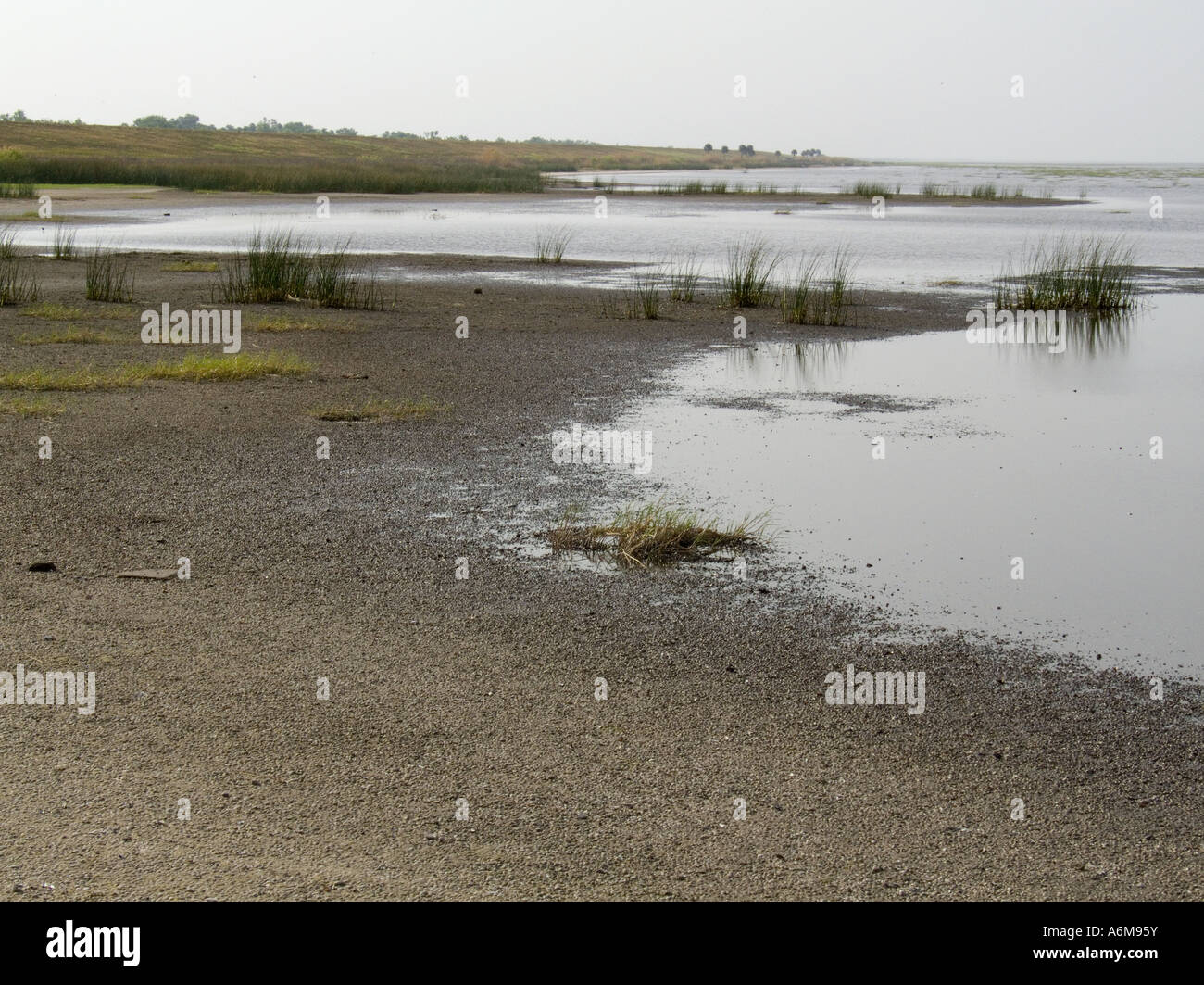 Lake Okeechobee low water levels drought exposed bank East side of Lake