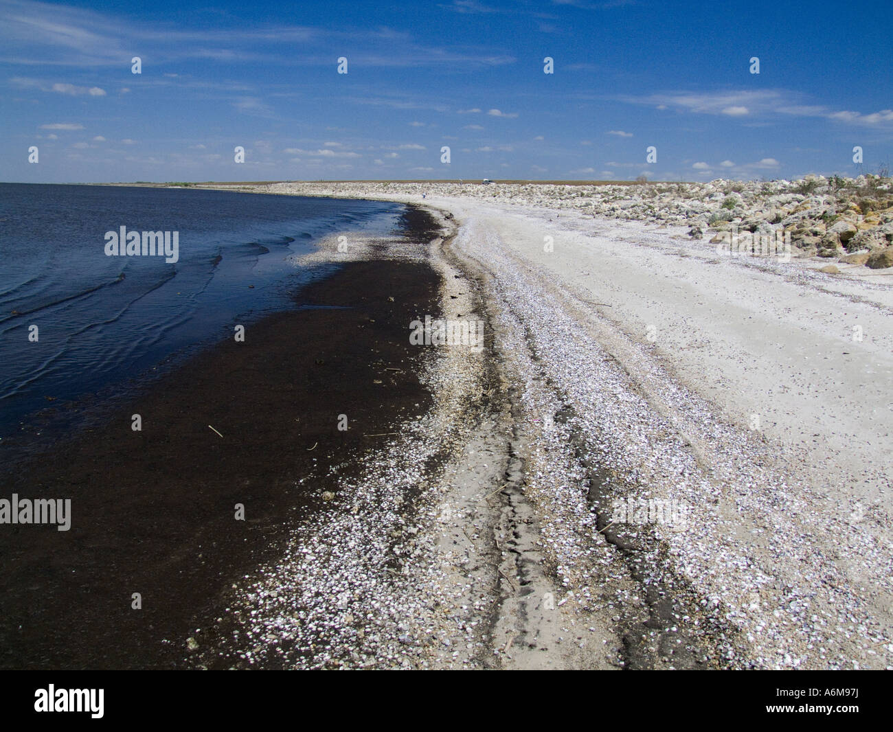 Lake Okeechobee shoreline low water levels drought exposed bank Port