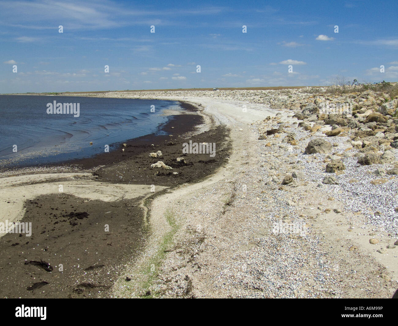 Lake Okeechobee low water levels drought exposed bank Port Mayaca 03 07