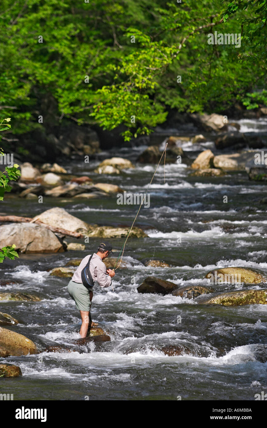 Man fly fishing in a Smoky Mountain trout stream Stock Photo Alamy