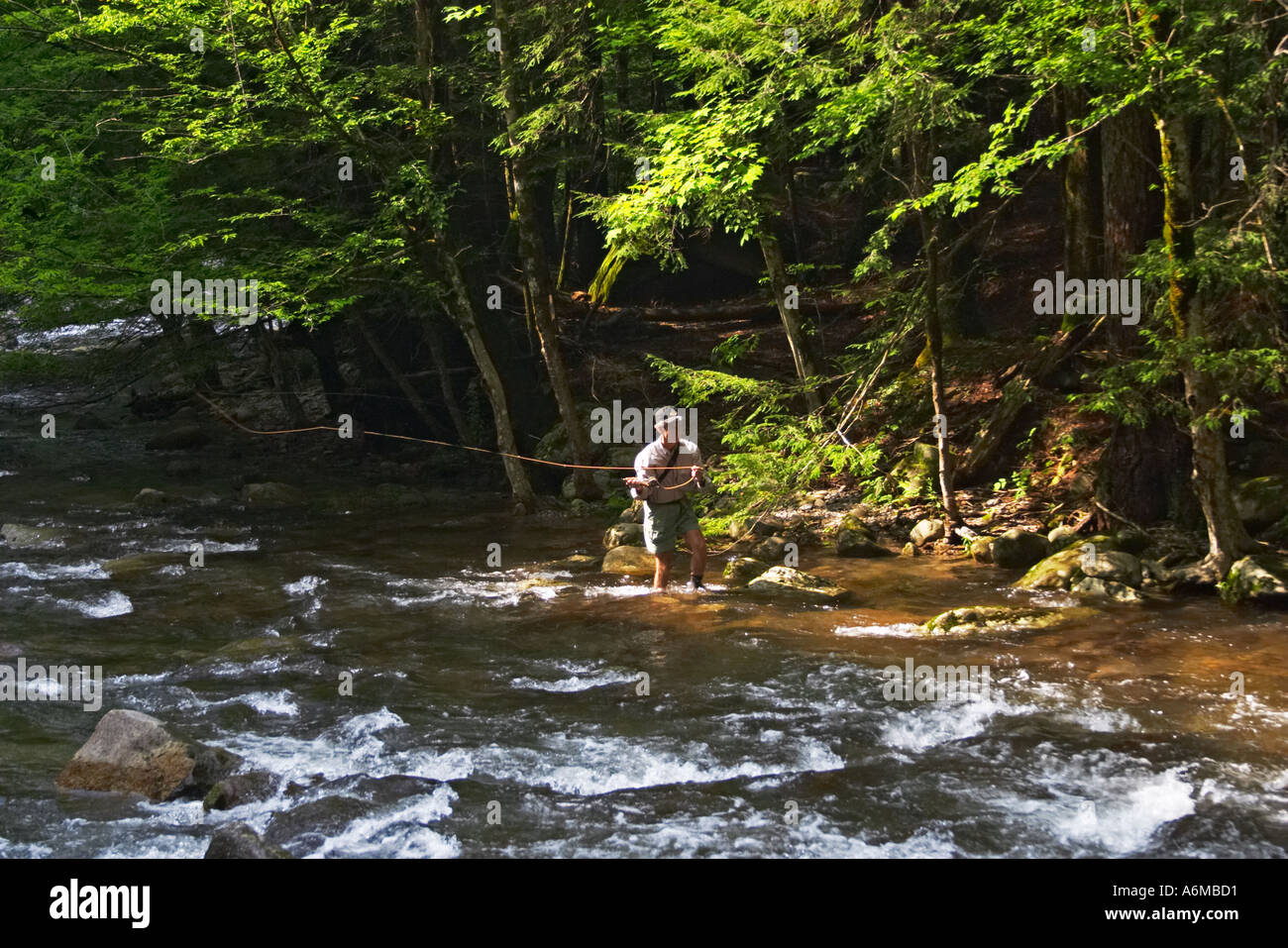 Man fly fishing in a Smoky Mountain trout stream Stock Photo Alamy