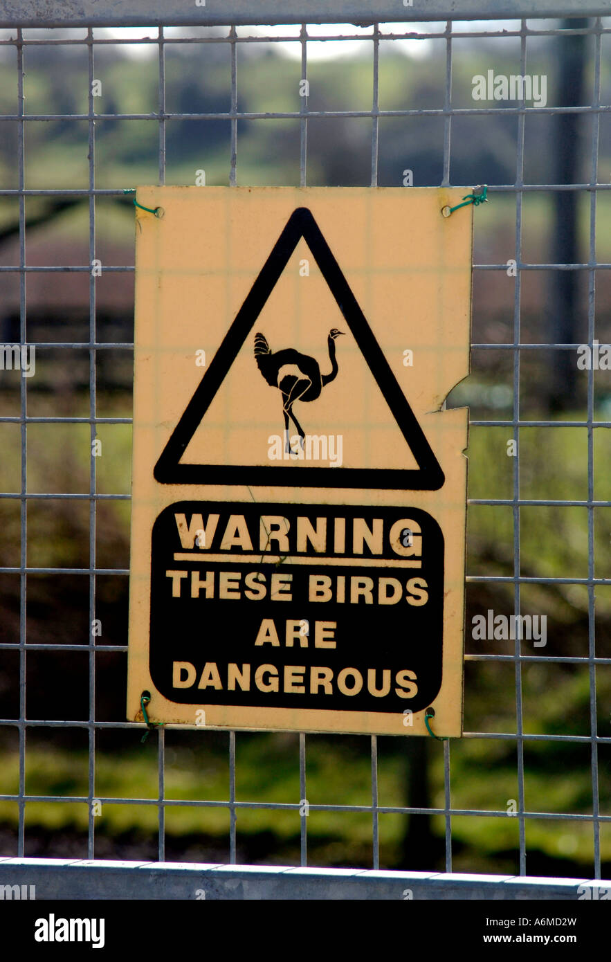 Bird Warning Signs at Russell Weyand blog