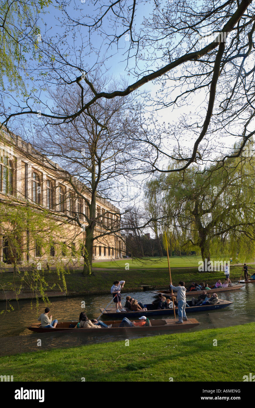 Groups of tourists punting on the River Cam, Cambridge Stock Photo