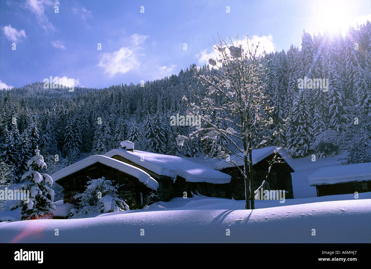 A winter landscape at La Tania, Savoie, French Alps, France. Stock Photo
