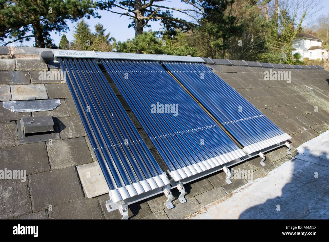 Bank of roof mounted Vaillant aurotherm evacuated tube solar collectors installed on slate roof Cotswolds UK Stock Photo