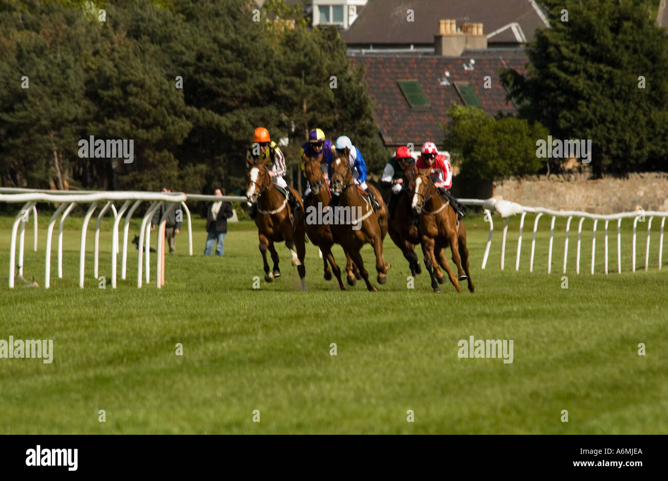 Flat horse racing at Musselburgh racecourse, one of the five racecourses in Scotland Stock Photo