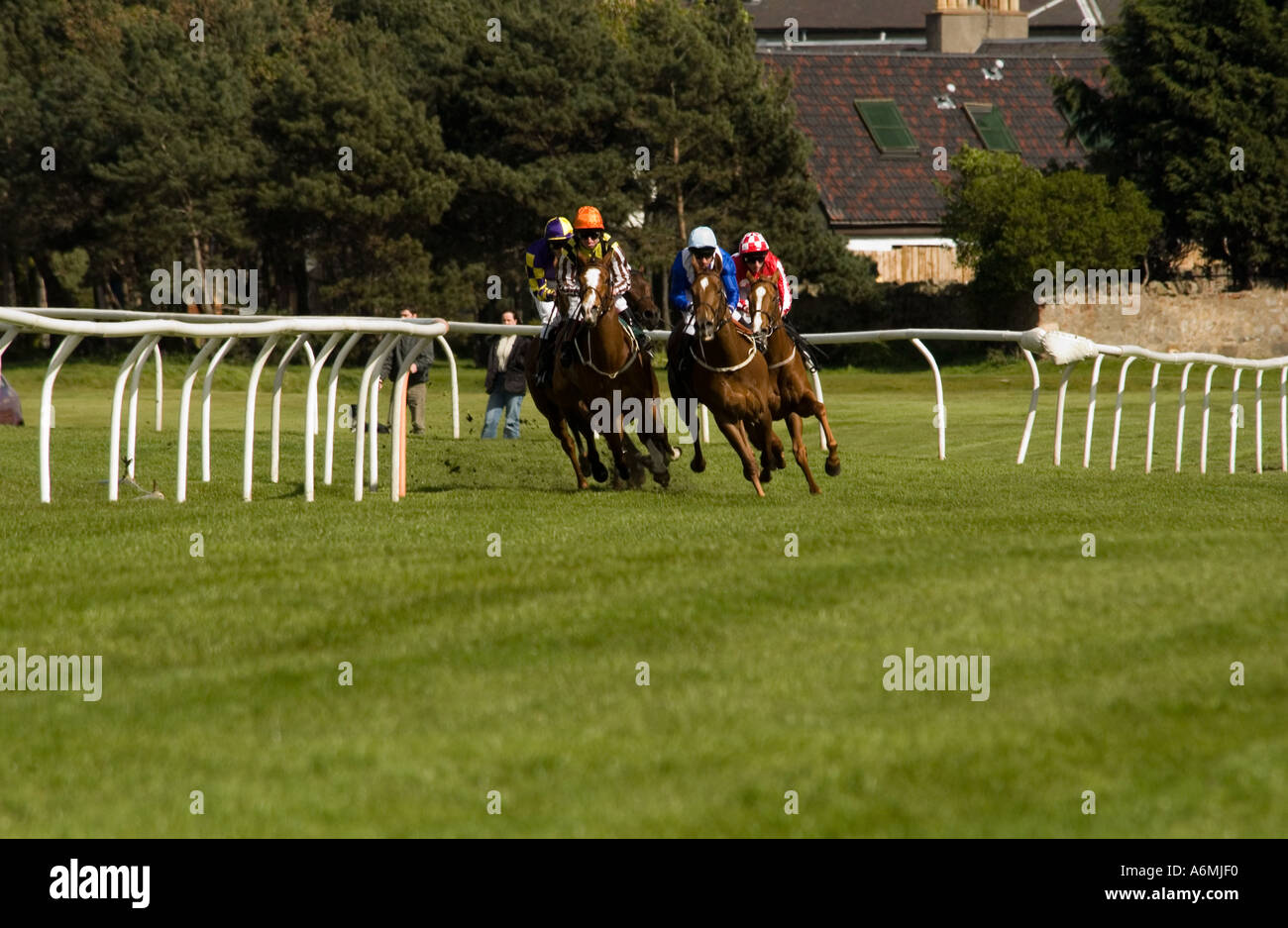 Flat racing horse hires stock photography and images Alamy