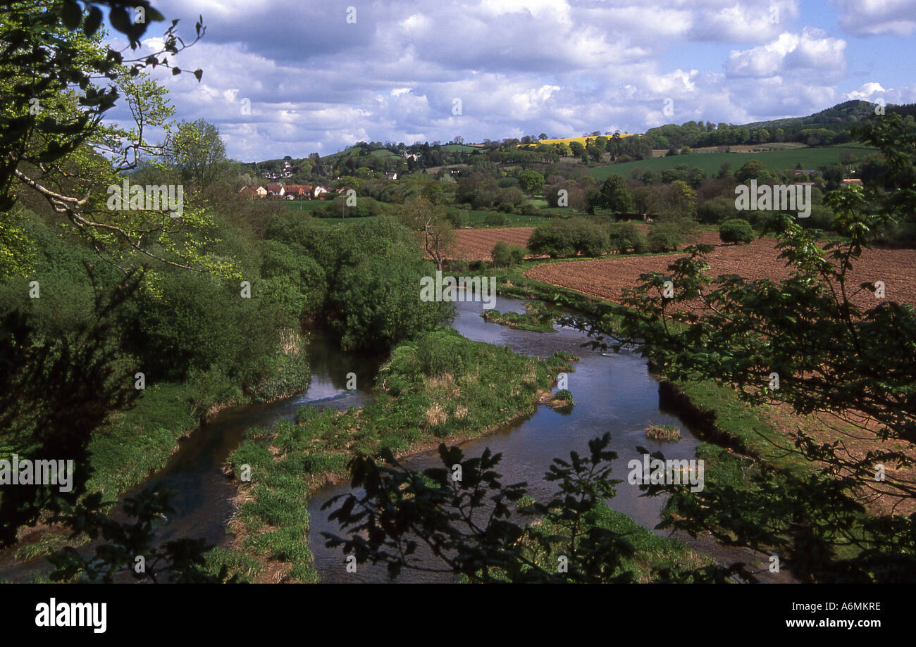 A peaceful stretch of the River Otter about a mile downstream from Newton Poppleford, Devon Stock Photo