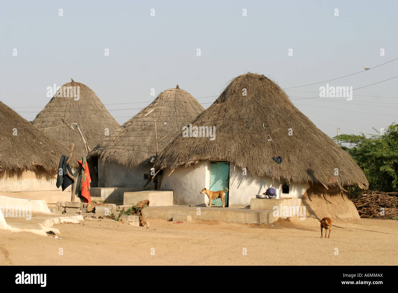 Rabari tribal village houses in the Banni area of Little Rann of Kutch,Gujarat,India Stock Photo