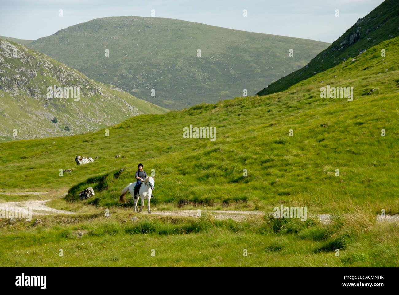 Highland pony and rider. Strath Ossian, Corrour Estate, Lochaber