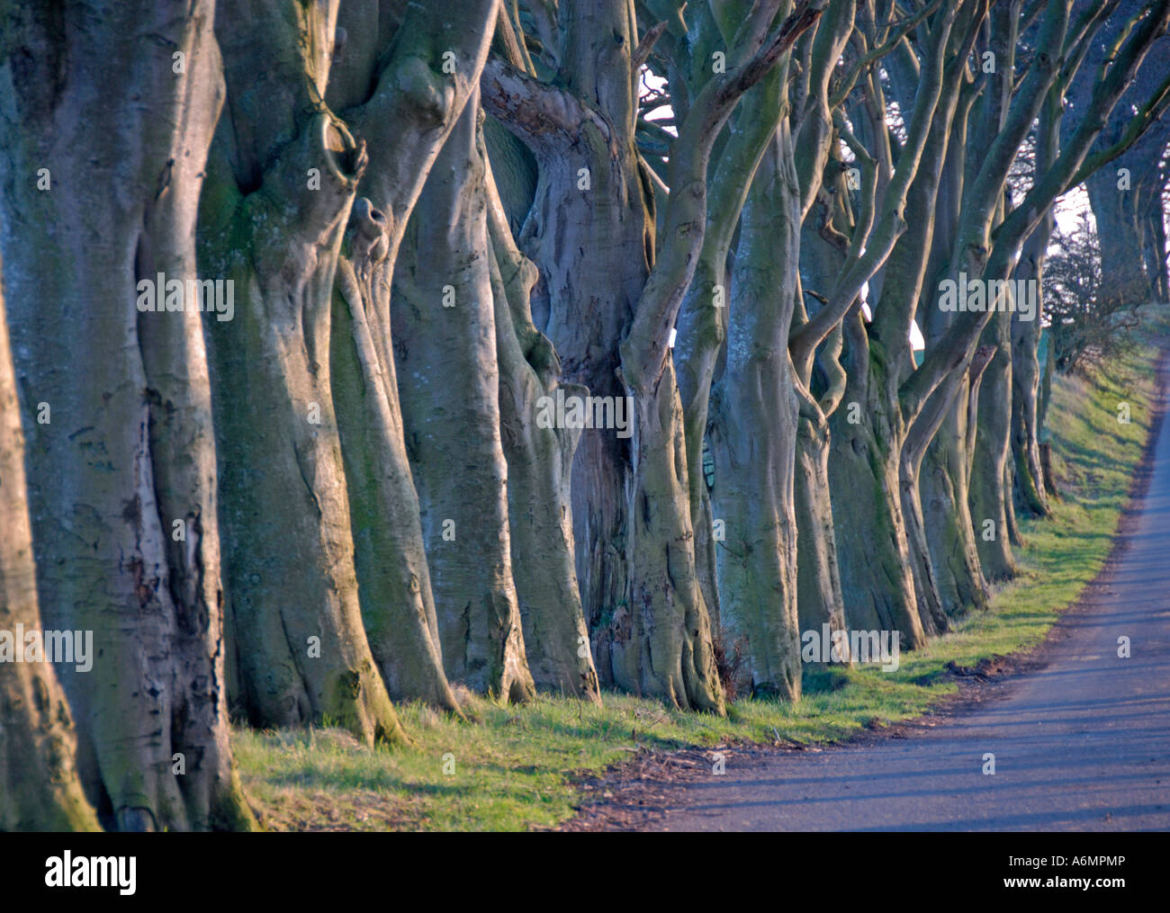Bonnington road hires stock photography and images Alamy