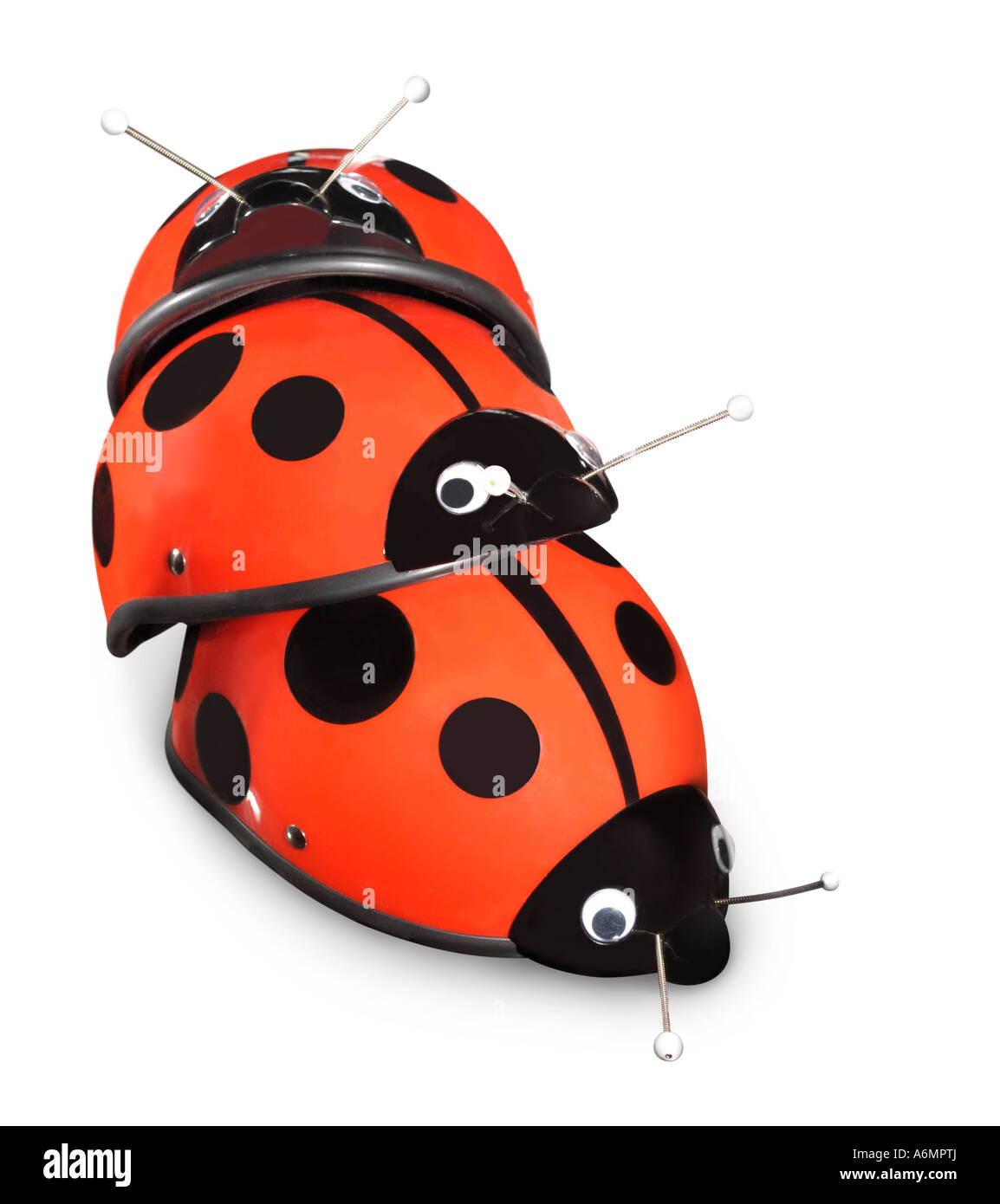 ladybird helmet