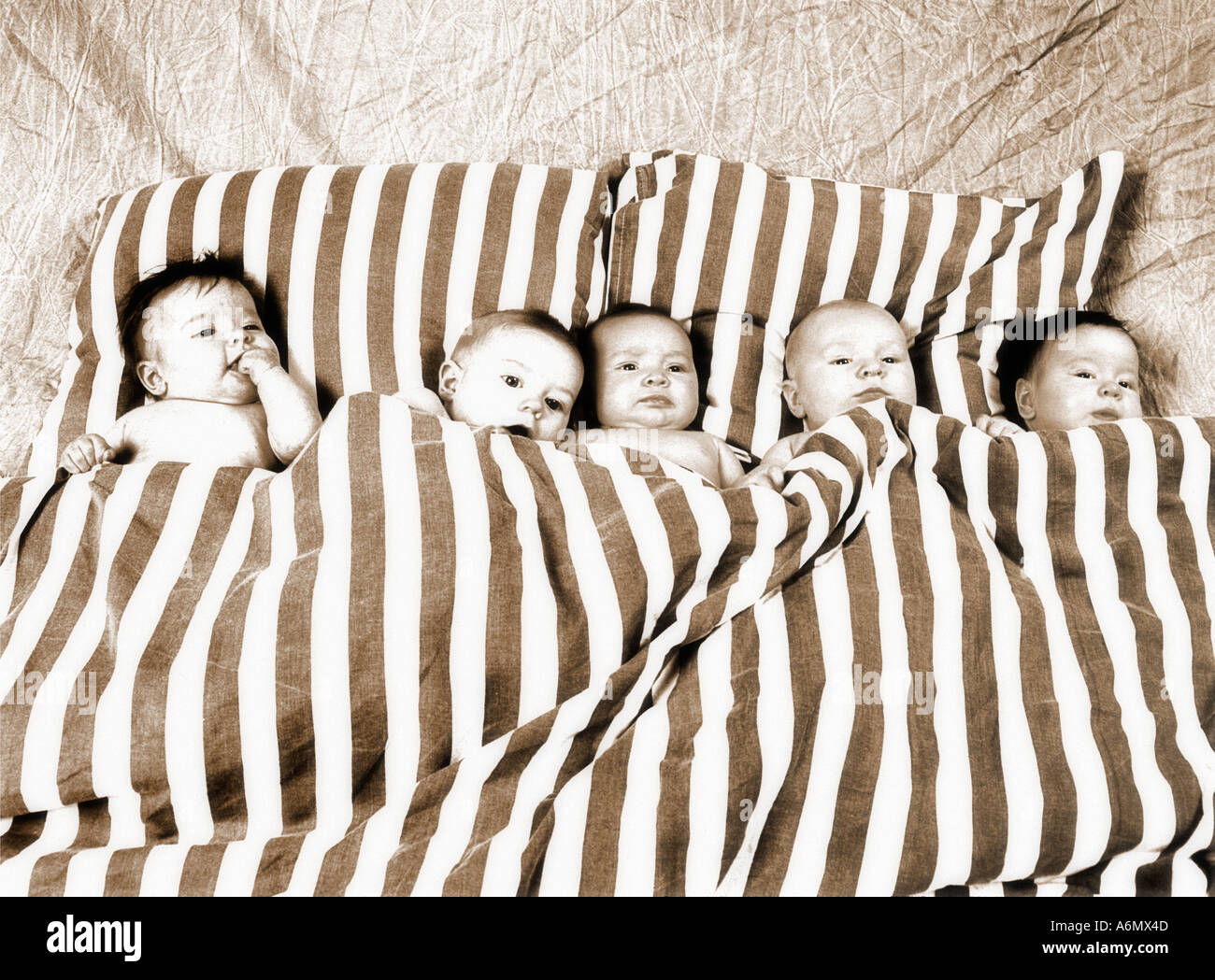 Babies covers hires stock photography and images Alamy