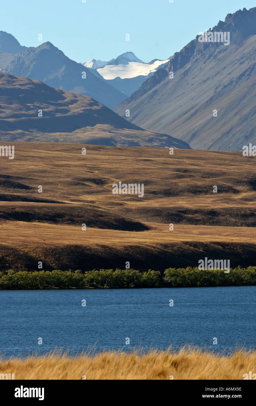 Lake Tekapo on South Island in scenic New Zealand Stock Photo - Alamy