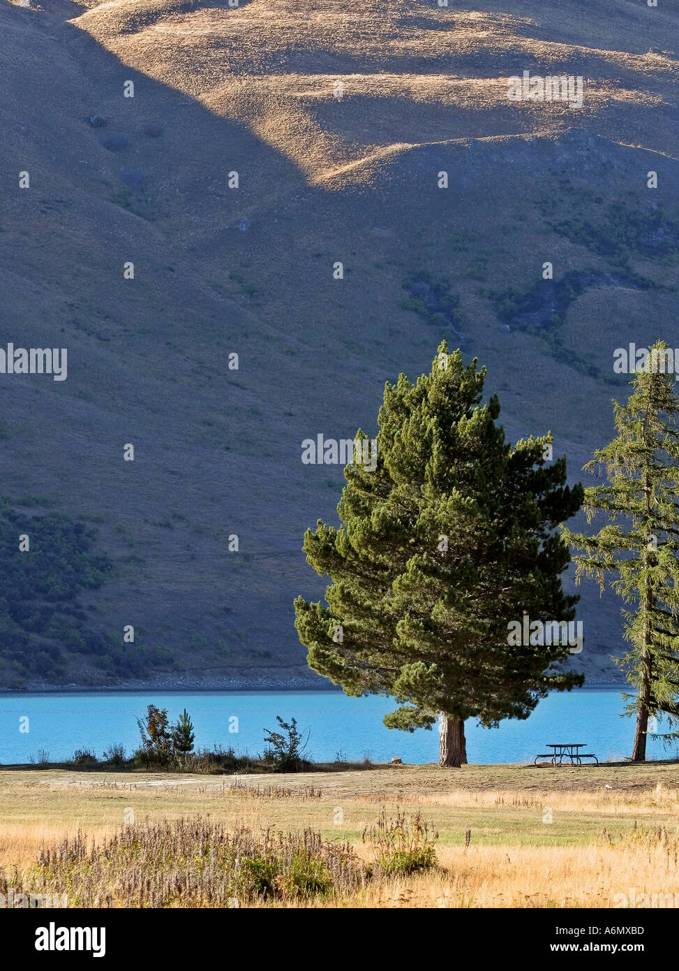 Lake Tekapo on South Island in scenic New Zealand Stock Photo - Alamy