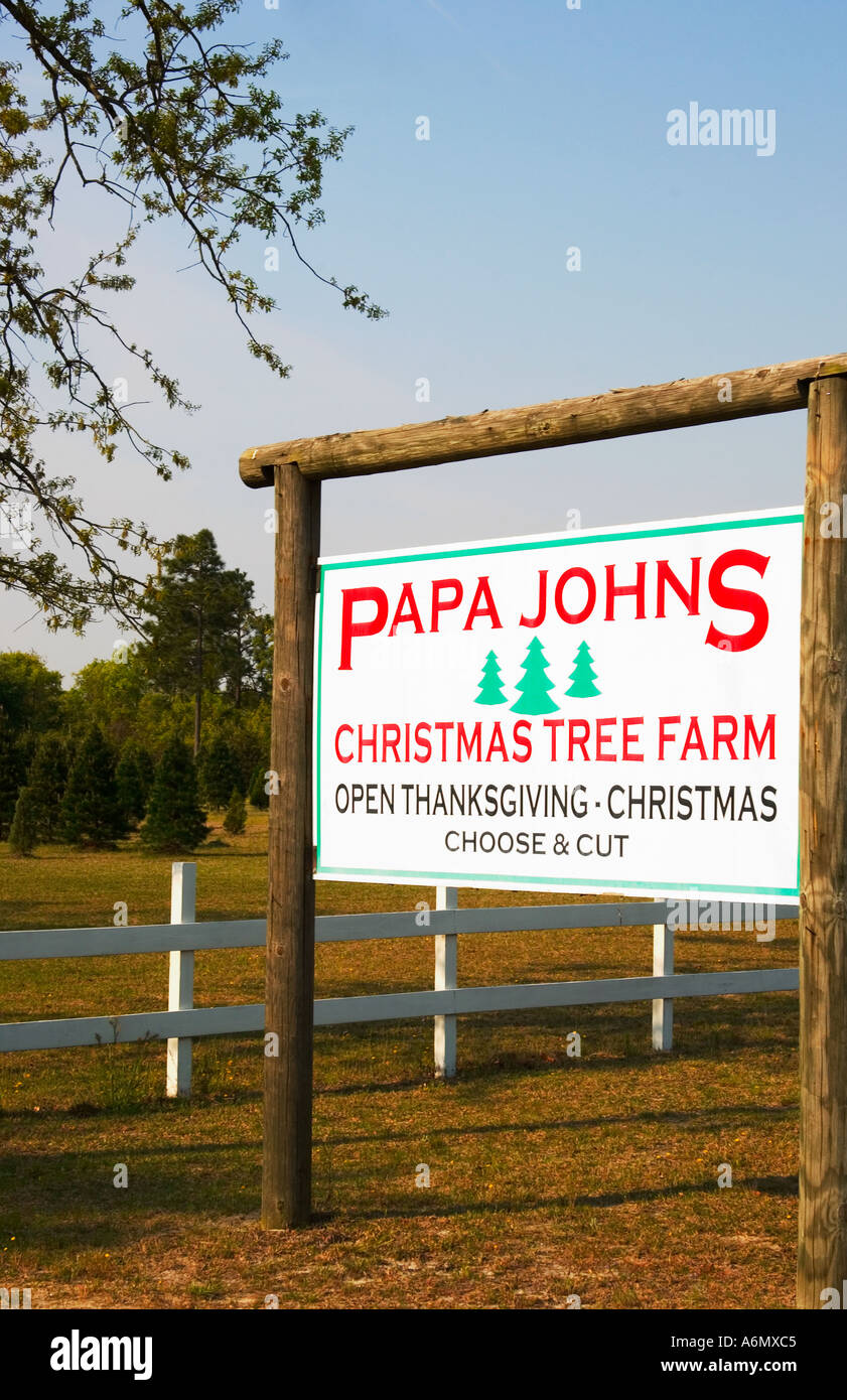 Christmas tree farm South Carolina USA Stock Photo Alamy