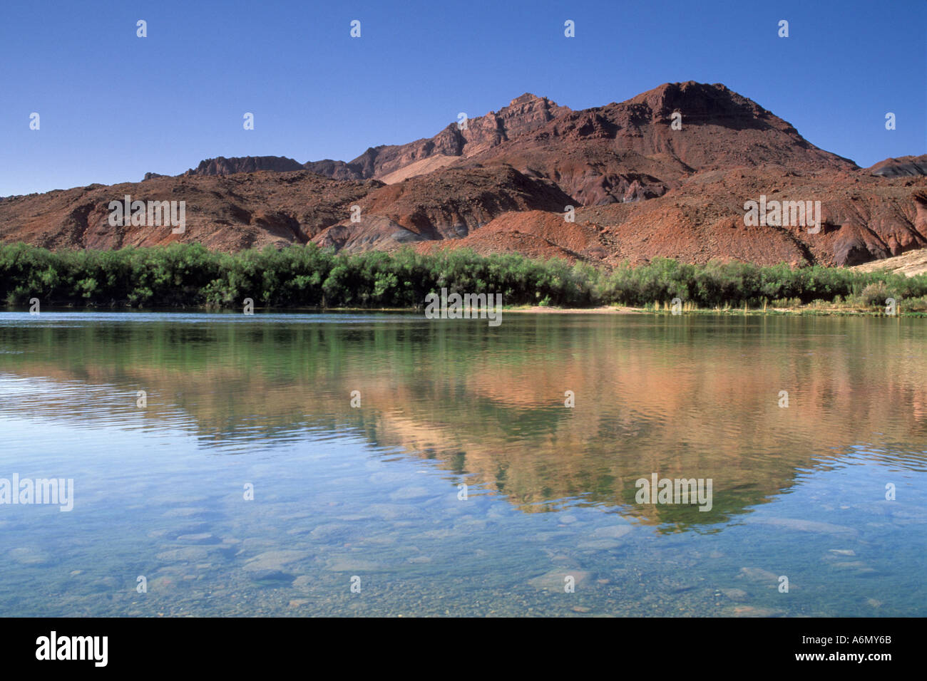 Echo Peaks Reflected In The Colorado River Lees Ferry Glen Canyon ...