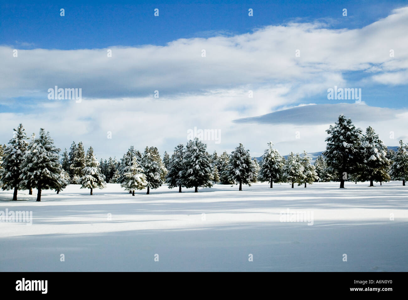 Winter landscape Martis Valley Truckee California Stock Photo