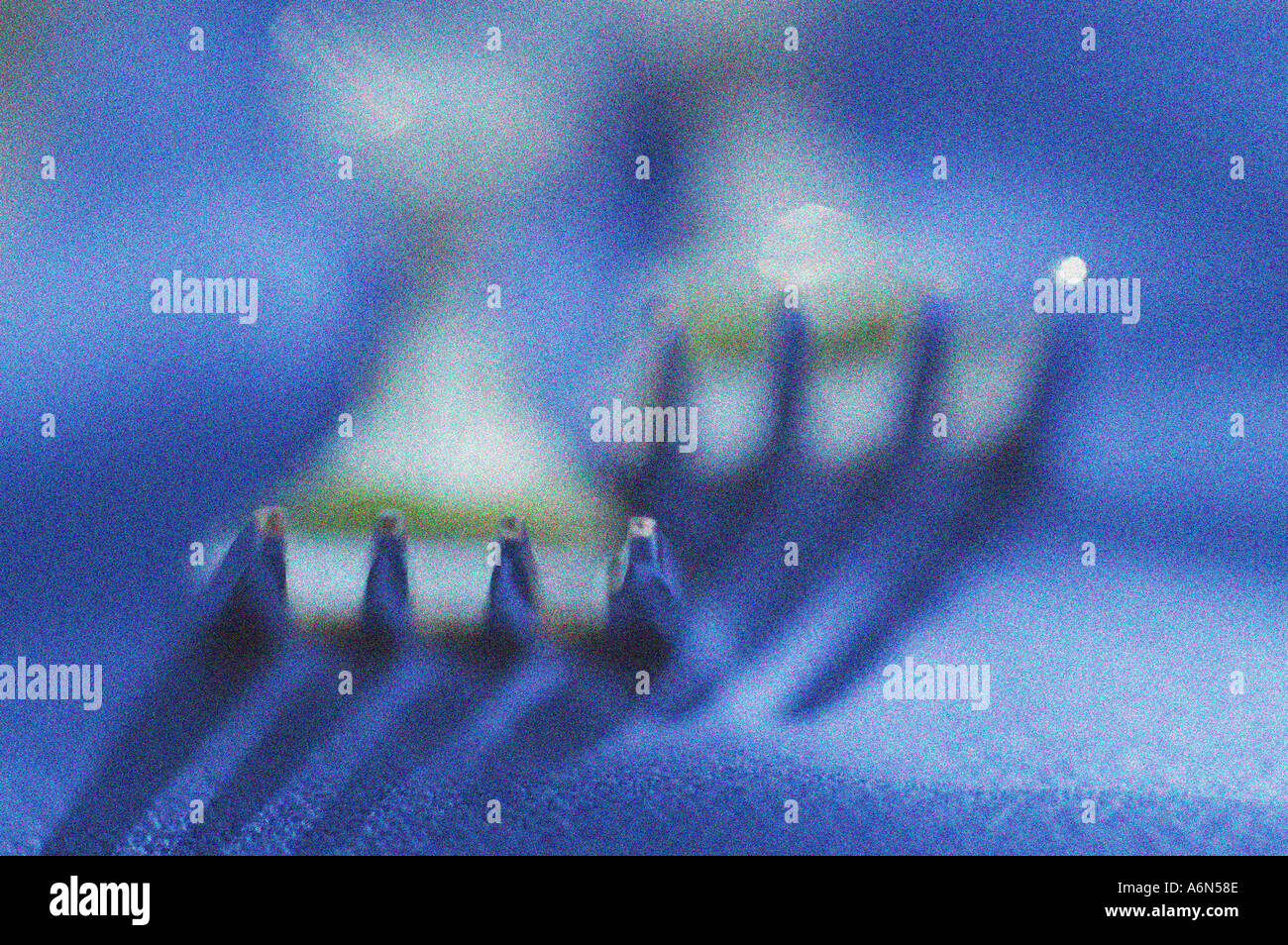 Blue forks hi-res stock photography and images - Alamy