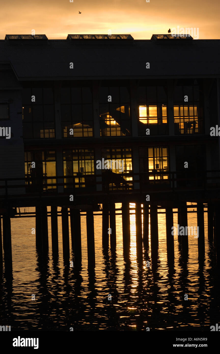 Stearns wharf silhouette hi-res stock photography and images - Alamy