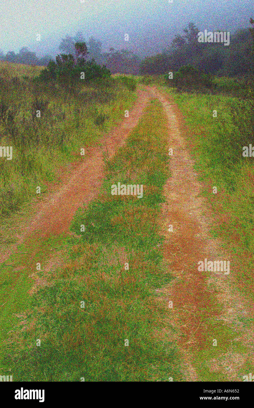 off the beaten path Stock Photo - Alamy