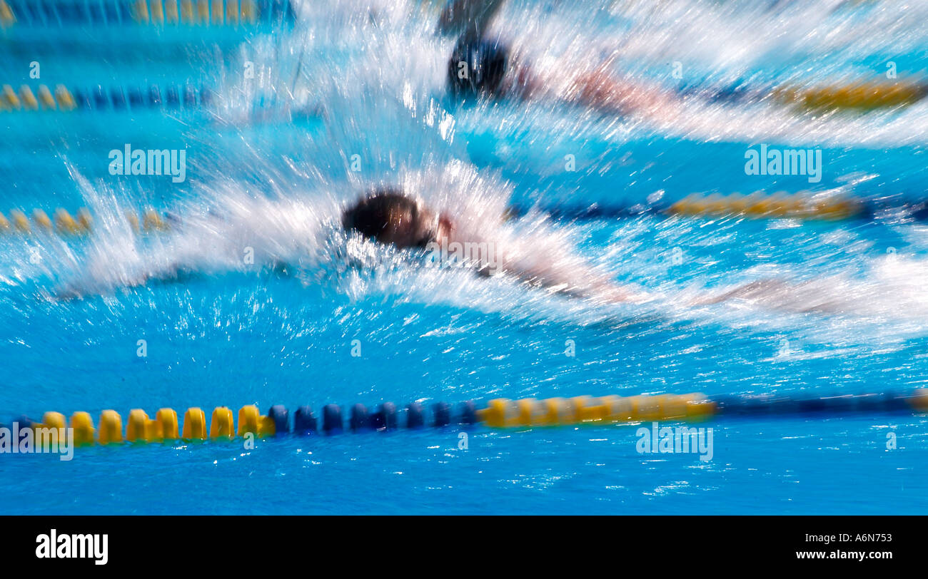 swim race in pool Stock Photo - Alamy