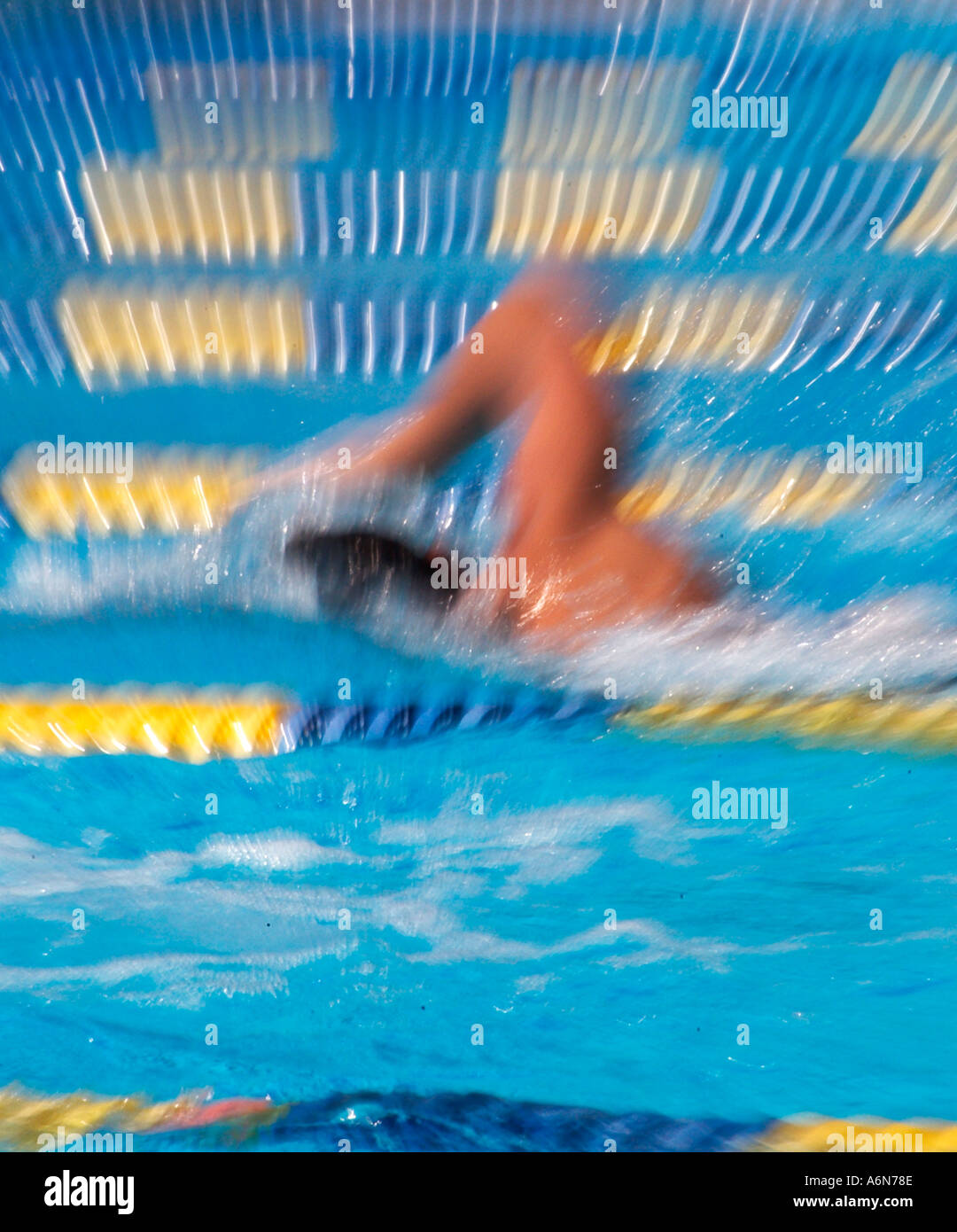 swim race in Olympic pool Stock Photo - Alamy