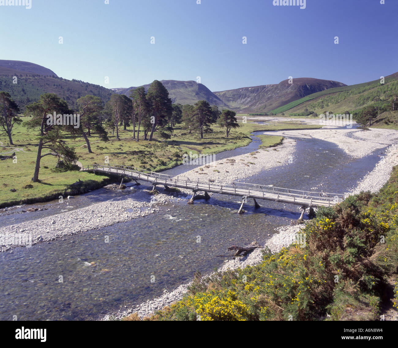 The River Feshie in Glen Feshie Stock Photo - Alamy