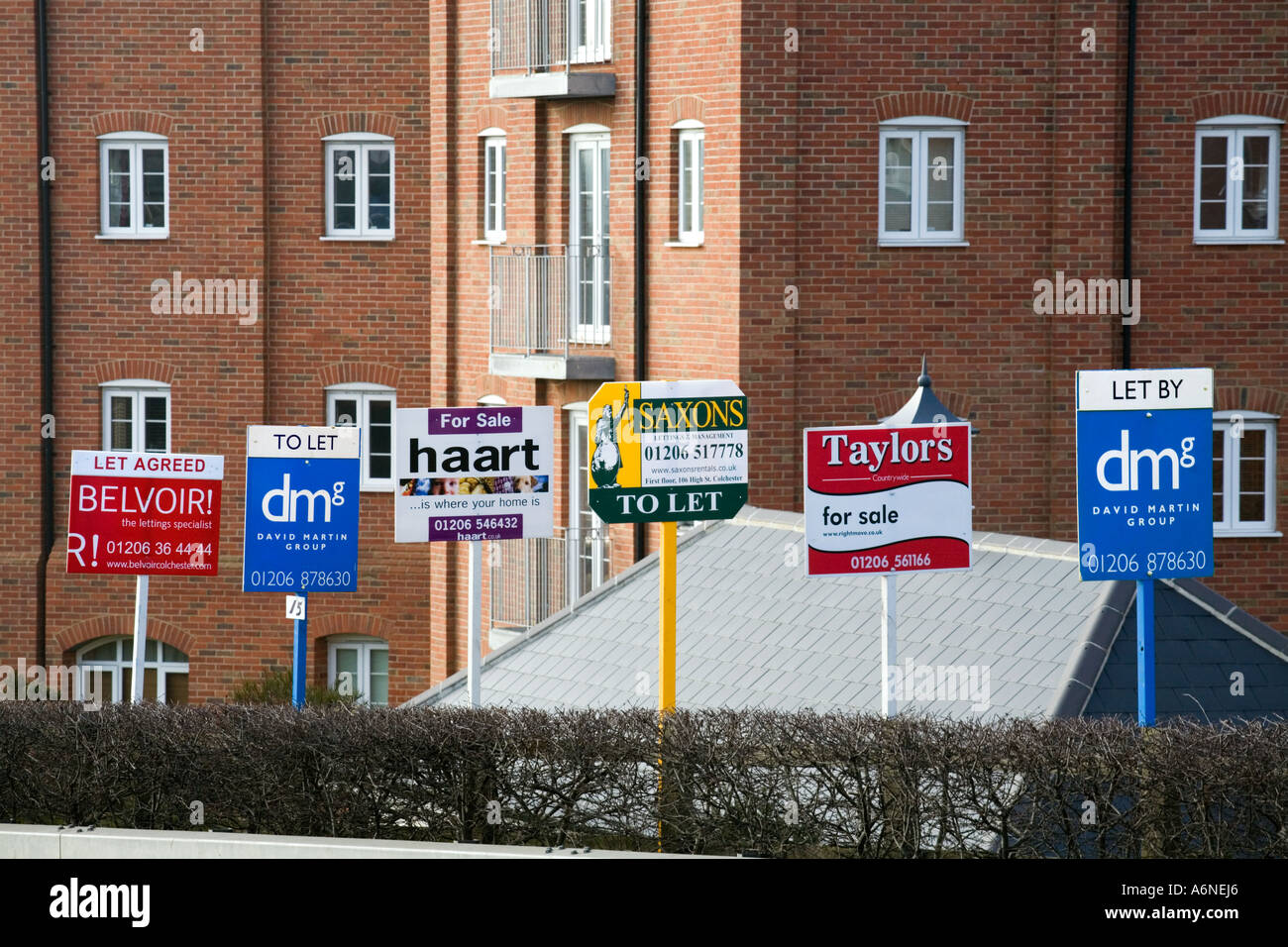 Colchester essex England UK Britain British placard sign board rental Stock Photo 6638501 Alamy