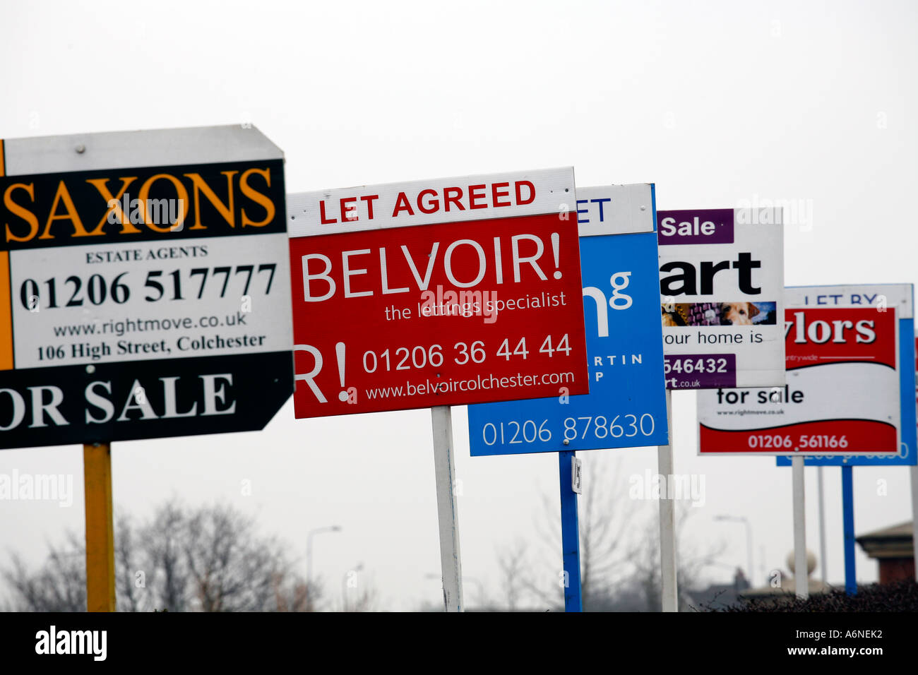 rows of for sale and rent signs in Colchester Essex ouside a block of