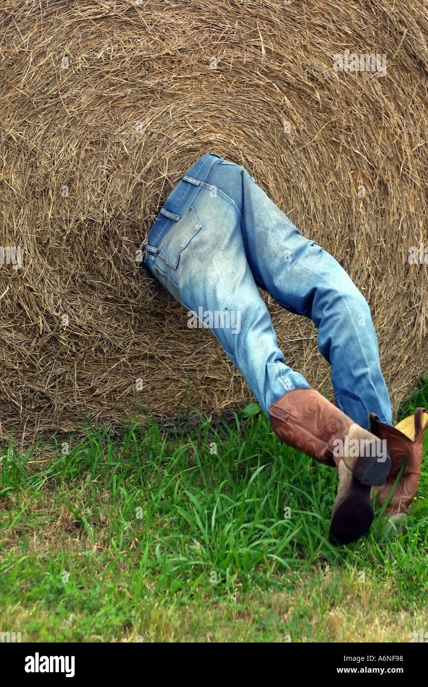 Farming Accident Funny photo of a cowboy caught up in a hay bailer Humor Stock Photo