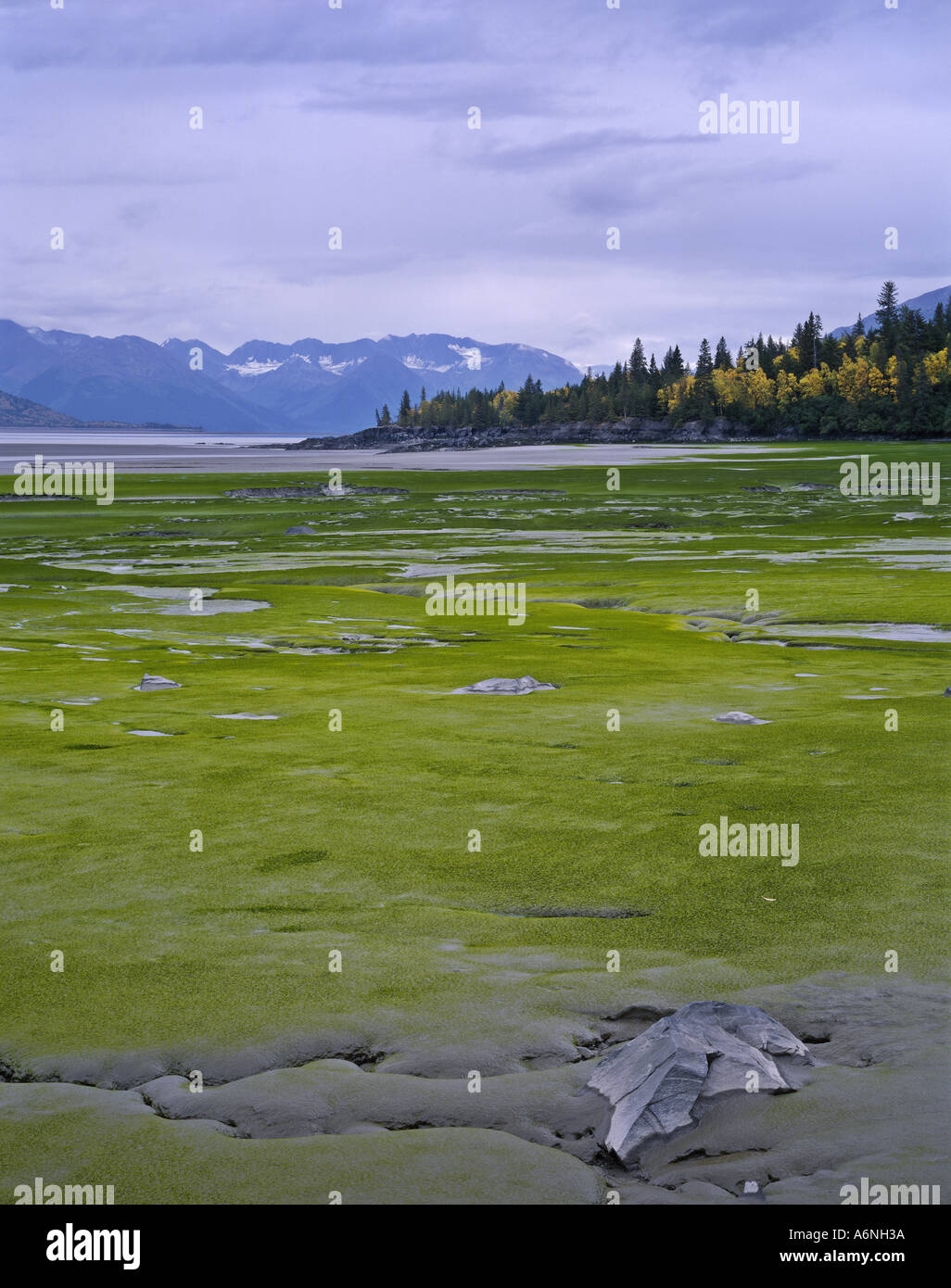 Shoreline scenery hi-res stock photography and images - Alamy