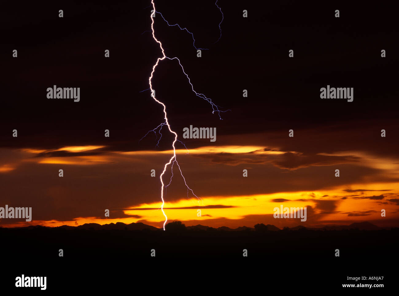 Lightning strikes dramatically against a yellow and orange sunset sky in Marana, Arizona, US. Stock Photo