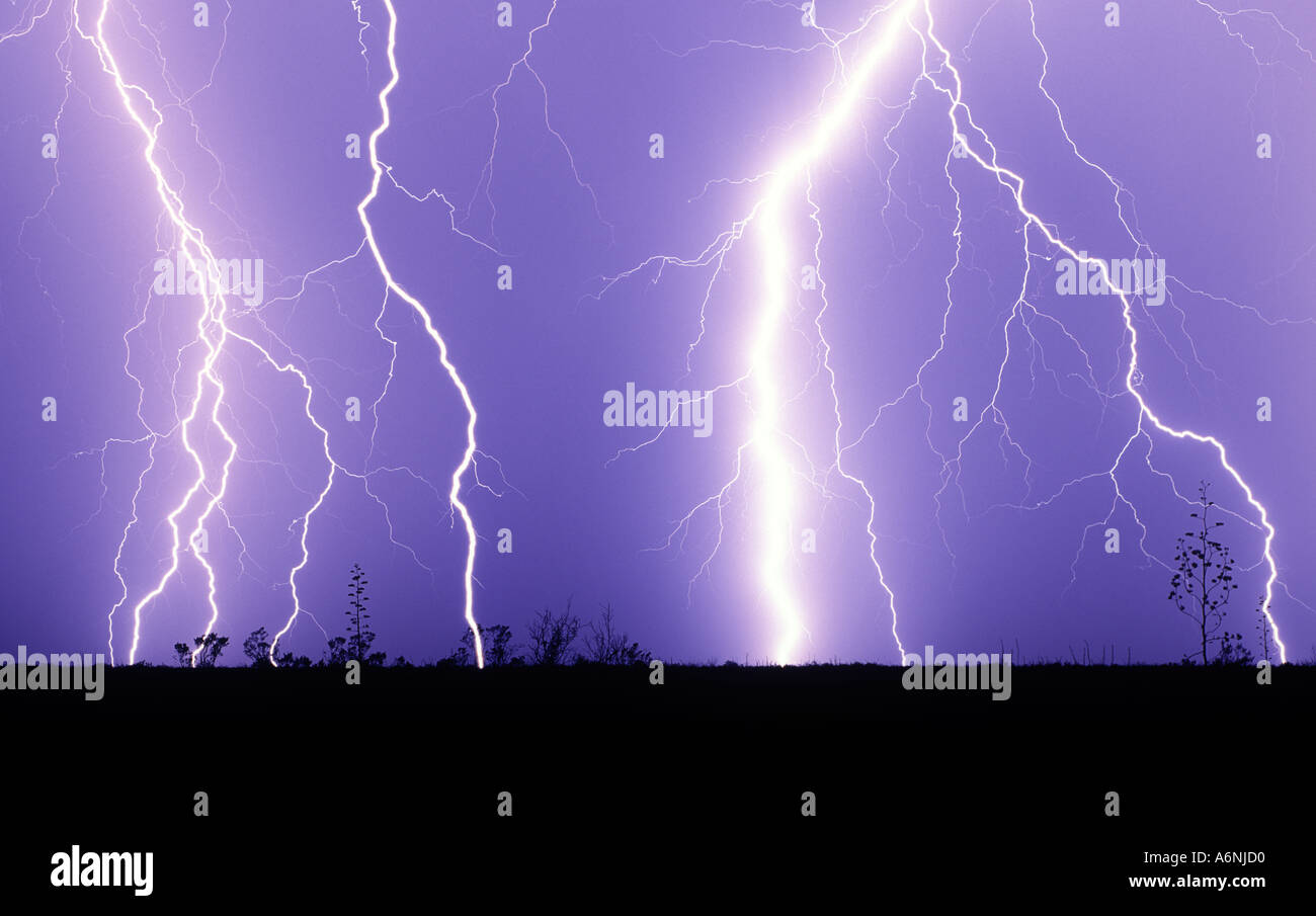 Lightning bolts strike from a purple sky against the silhouette of desert landscape during a monsoon storm in Tucson, AZ, USA Stock Photo