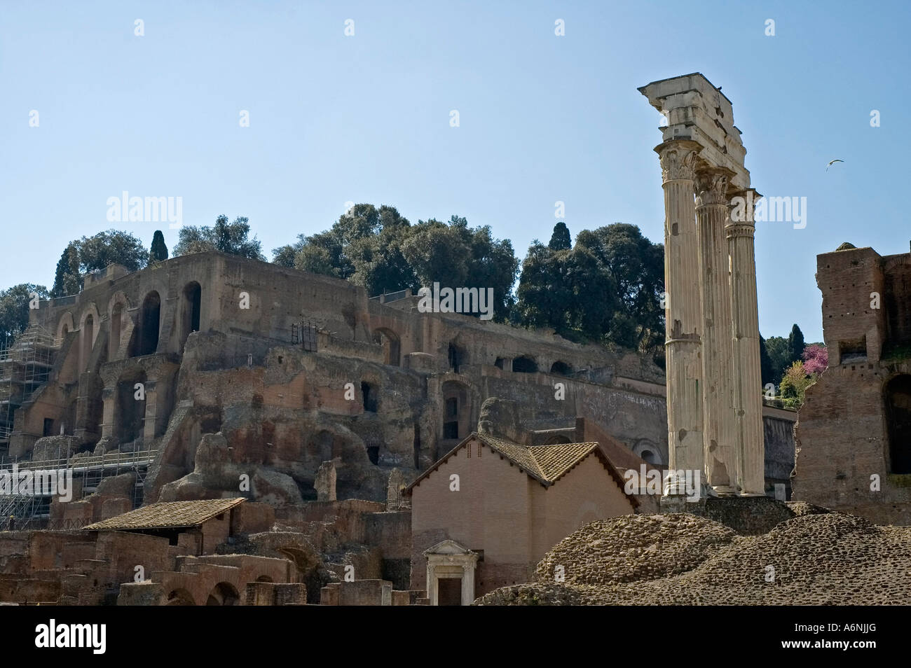 A horizontal picture showing the Temple of Castor and Pollux and some