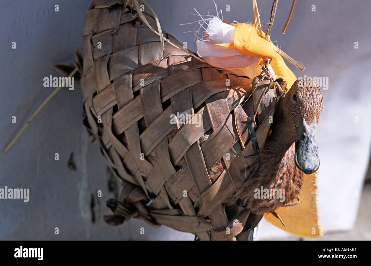 Religious offering of a duck Ceremoniously wrapped in a plaited palm