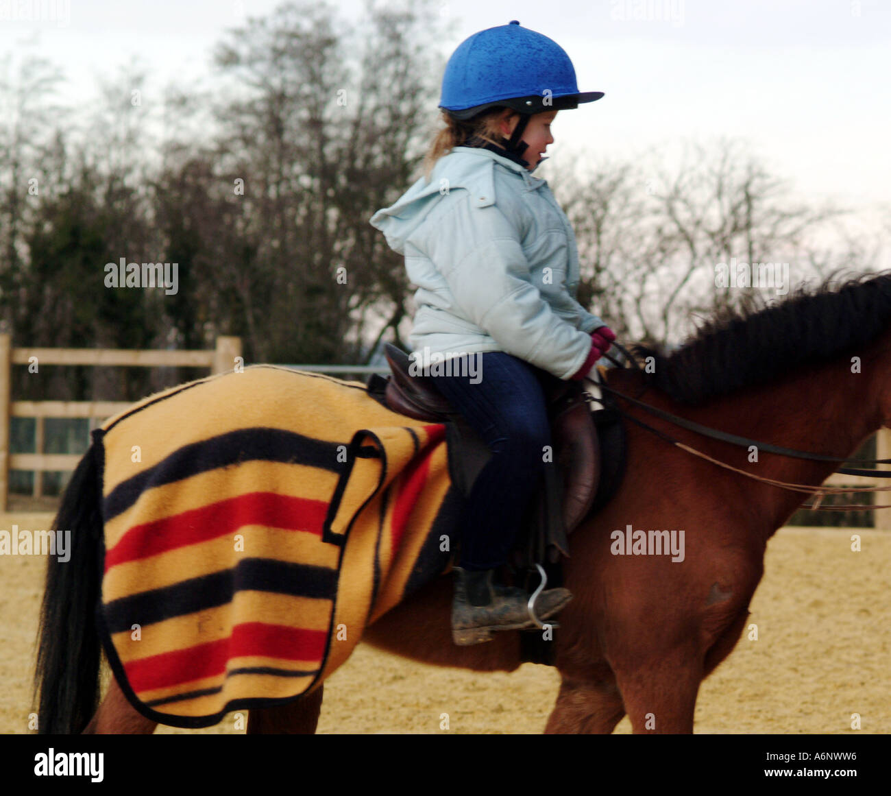 Horse Riding Stock Photo