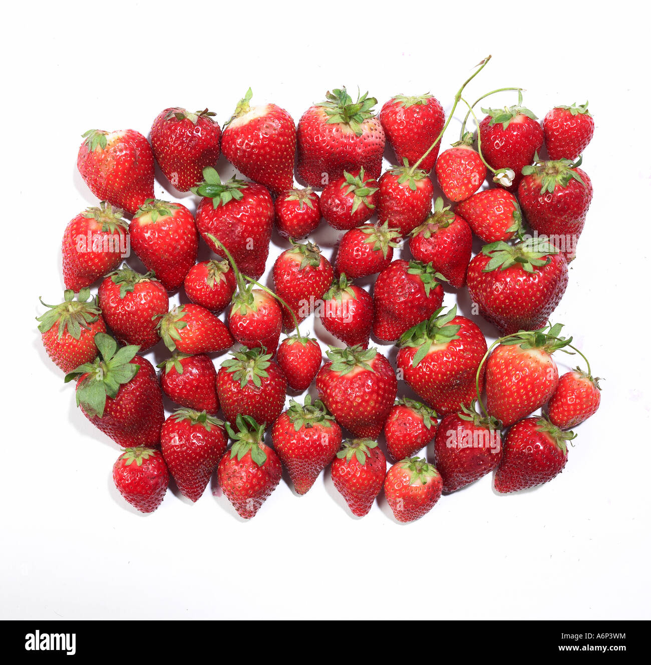 strawberries grouped closely together on white Stock Photo