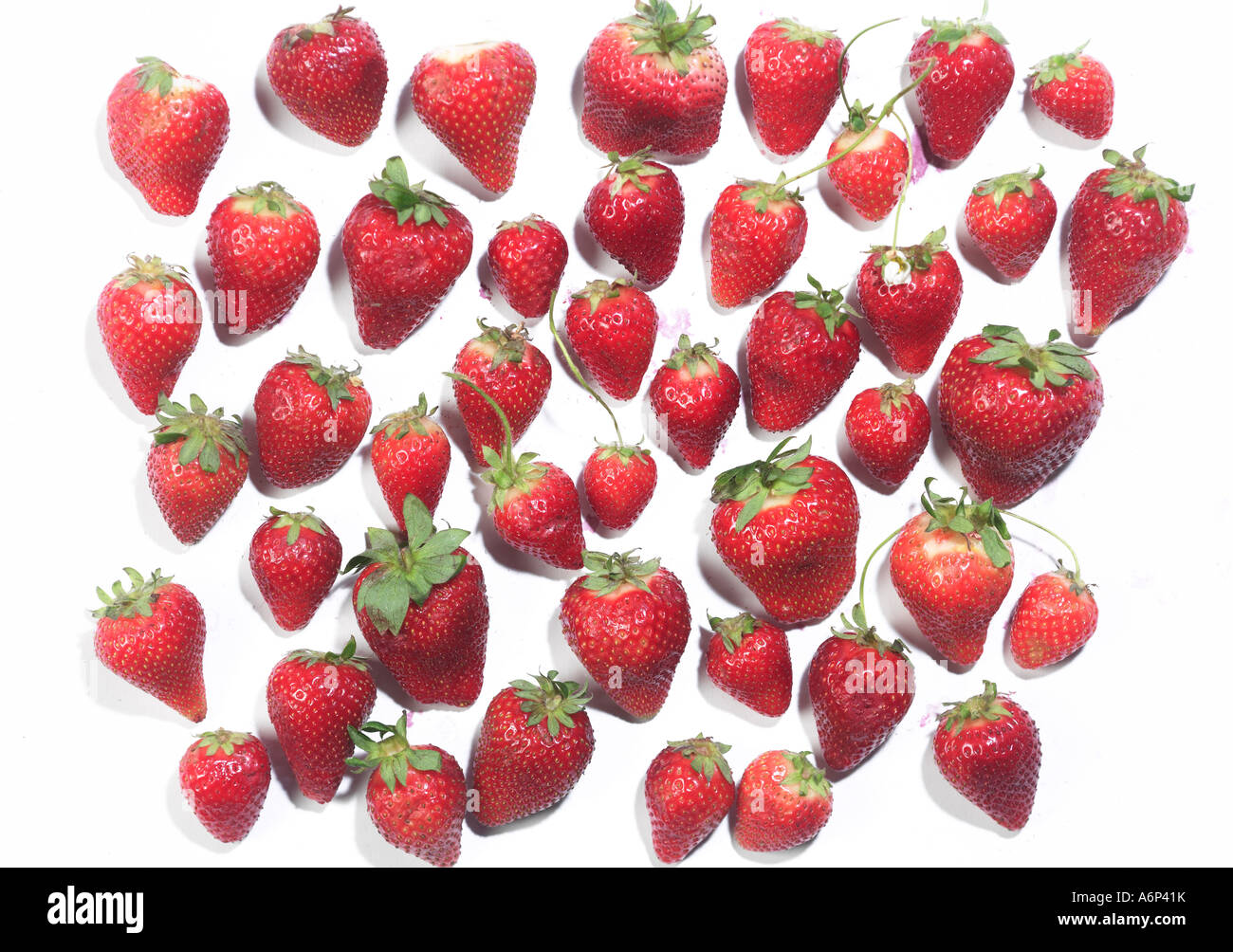 raining strawberries Stock Photo