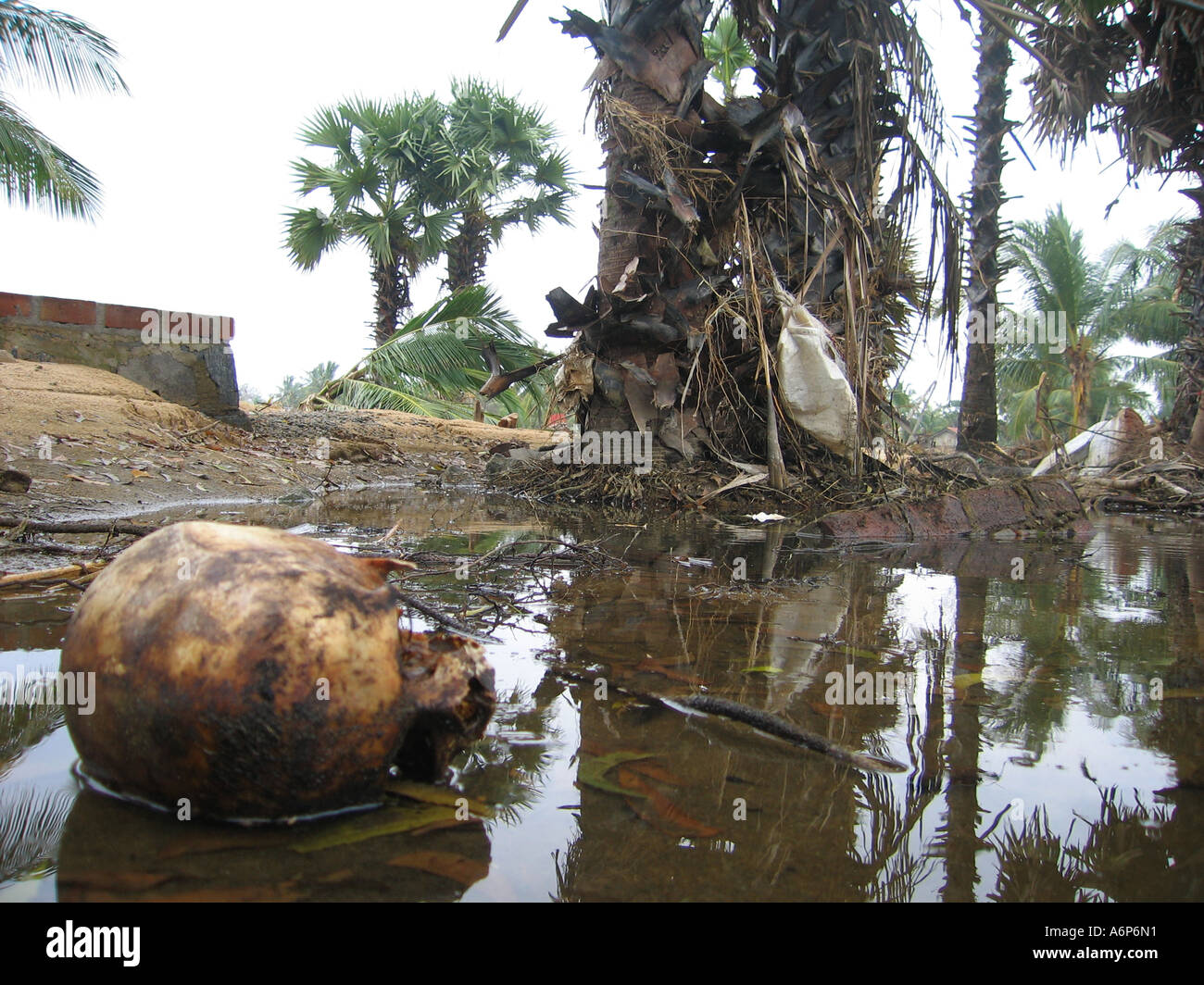 Sri lanka tsunami damage map