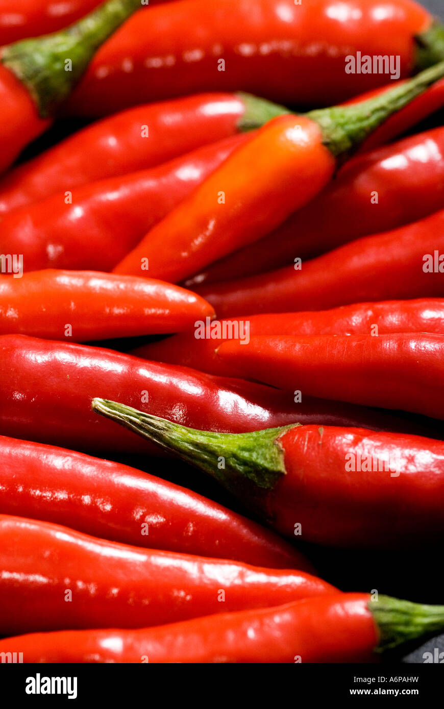 Red chilis portrait Stock Photo