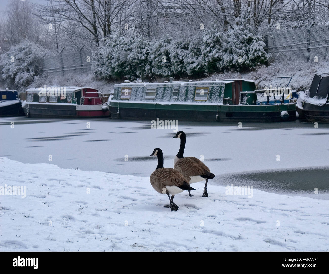 Canal Sale Cheshire England Stock Photo Alamy
