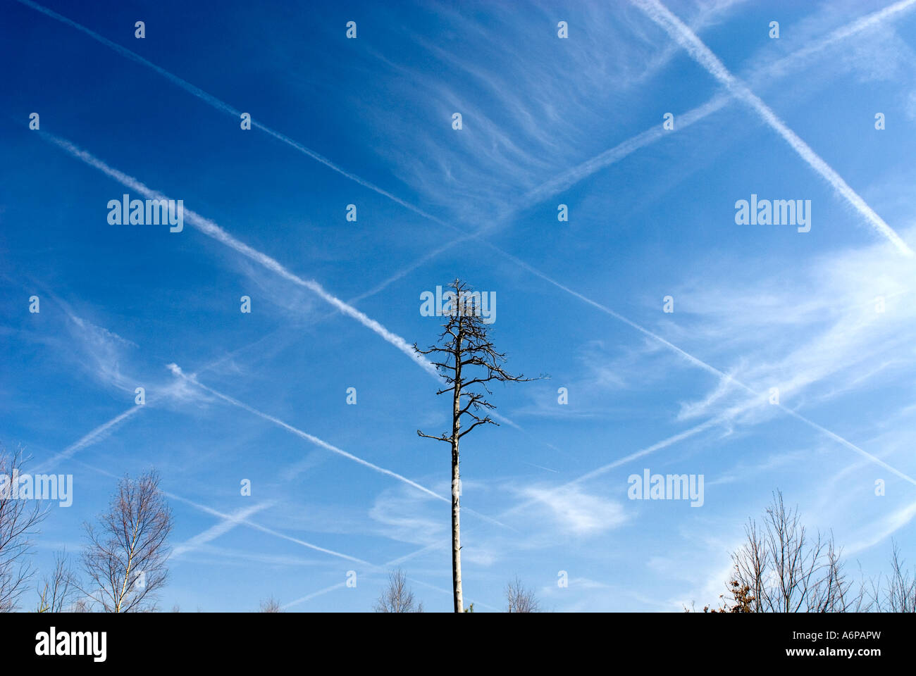 a-web-of-contrails-that-look-like-chemtr